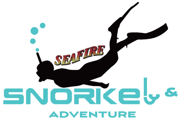 Molokini Snorkeling